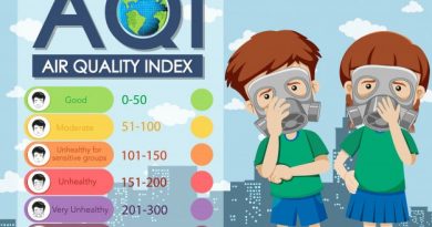 How does the Air Quality Index work