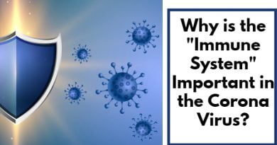 Why is the Immune System Important in the Corona Virus