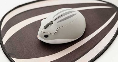 Now The Mouse Will Not Let You Get Tired