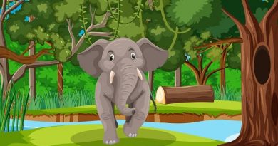 World Elephant Day: Elephant Conservation and Awareness Day