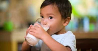 World Milk Day: Celebrating the White Elixir
