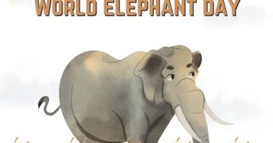 Celebrating the Majestic Giants: World Elephant Day