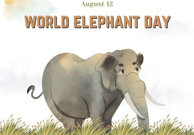Celebrating the Majestic Giants: World Elephant Day