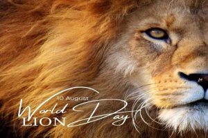 Celebrating World Lion Day in Style